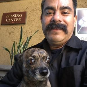 Meet your Posher, Roque